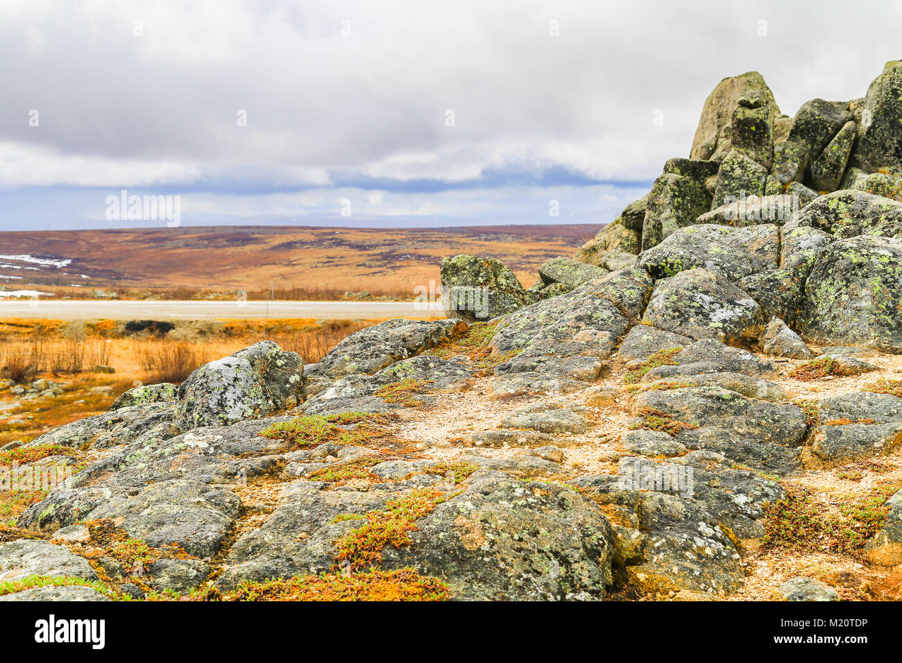 The Dalton Highway between Yukon River and Fairbanks in the tundra of