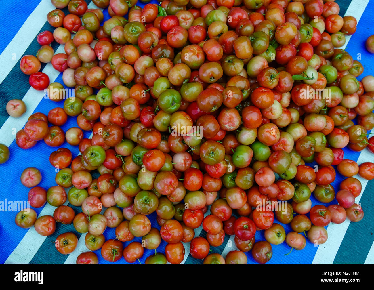 Malpighia glabra (red acerola) tropical fruits at local market in Mekong Delta, Vietnam. Stock Photo