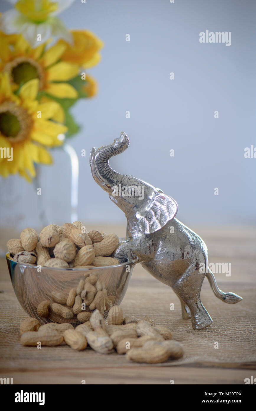 Elephant server bowl Stock Photo