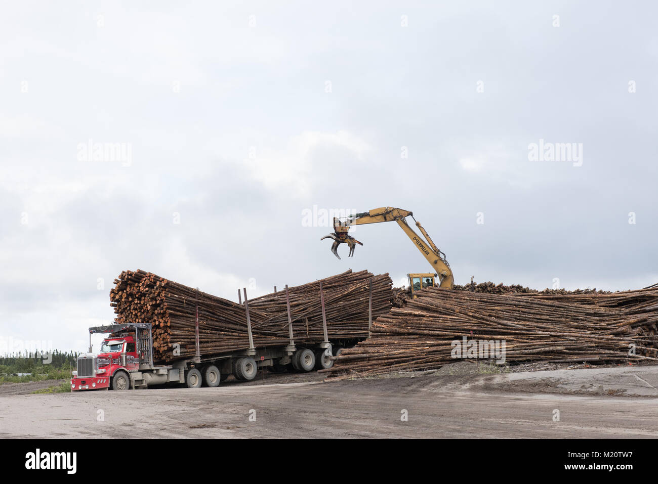 Wood industry Northern Quebec. Canada Stock Photo Alamy