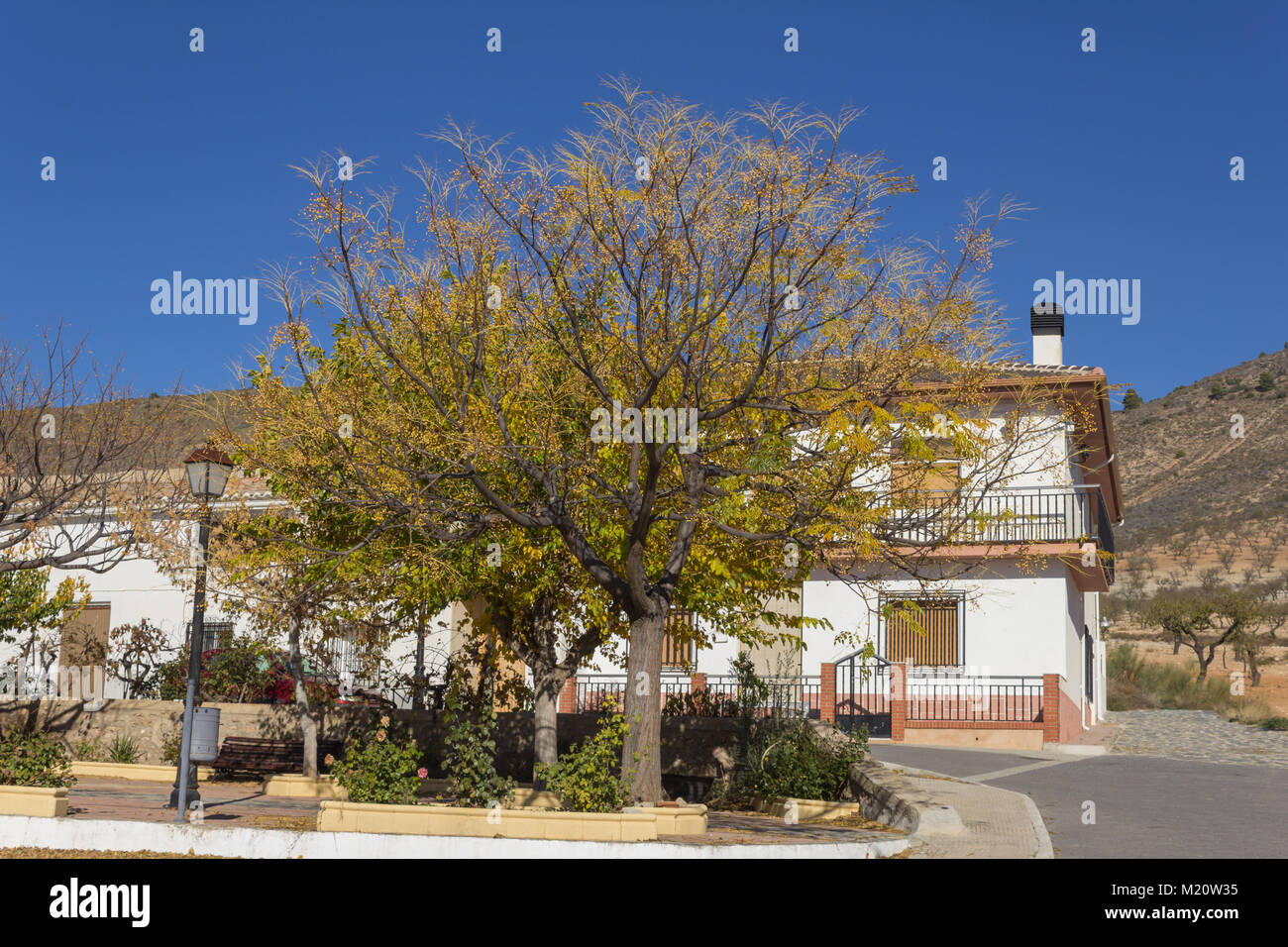 Row of Typical Family Homes in a Small Rural Spanish Town in Almeria Province Andalucía Spain Stock Photo