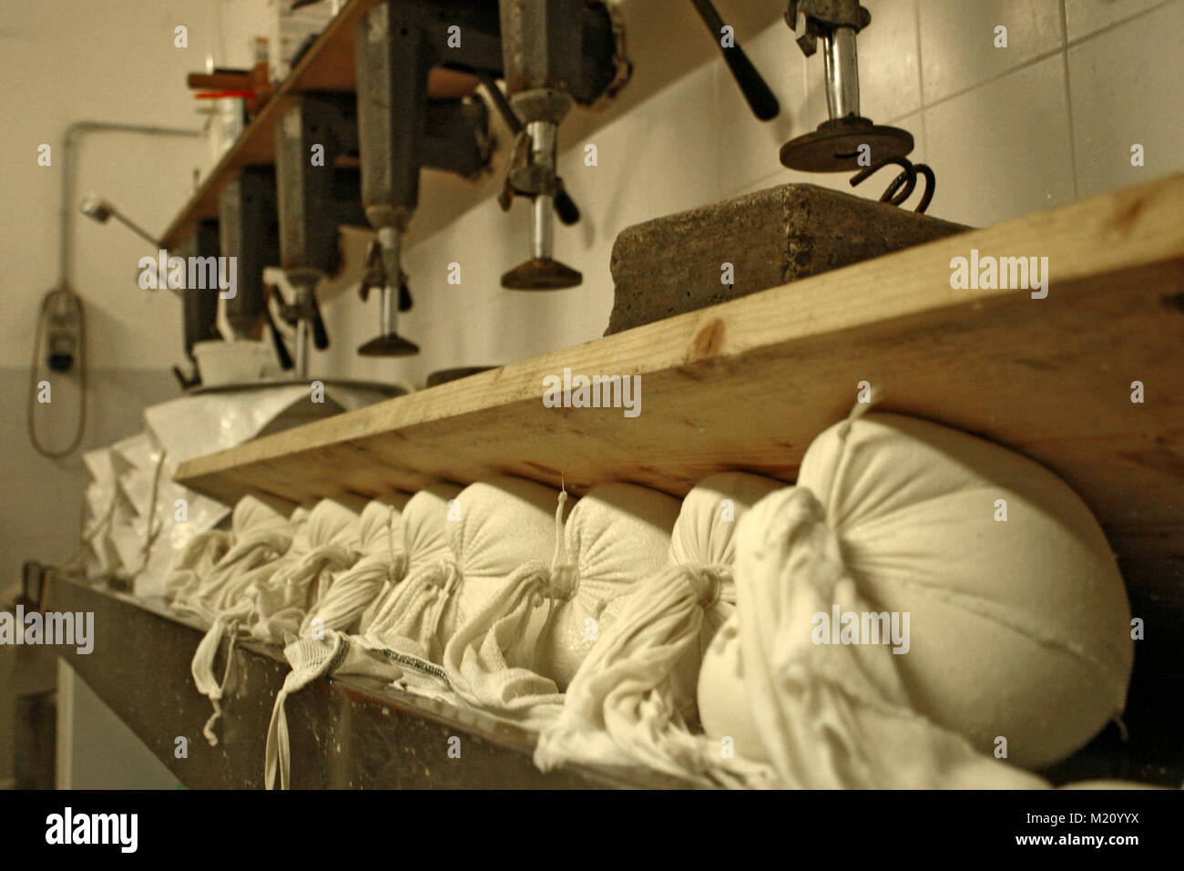 Draining the whey out of cheese curds at farm in North Italy Stock