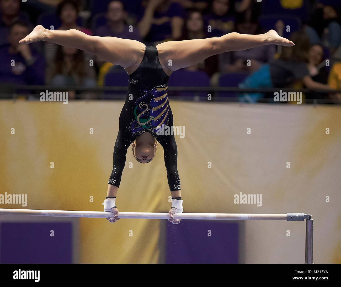Baton Rouge, LA, USA. 2nd Feb, 2018. LSU gymnast Myia Hambrick performs on the uneven bars during the meet between LSU and Kentucky at Pete Maravich Assembly Center in Baton Rouge, LA. Stephen Lew/CSM/Alamy Live News Stock Photo