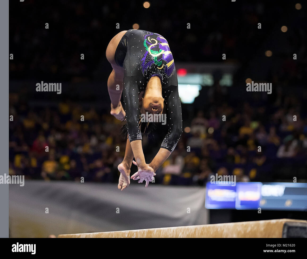 Baton Rouge, LA, USA. 2nd Feb, 2018. LSU gymnast Kennedi Edney performs on beam during the meet