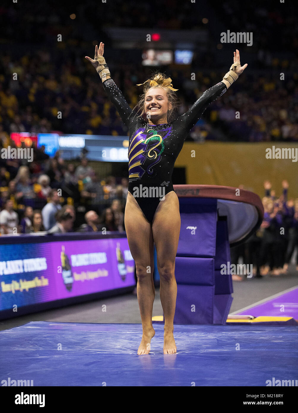 Baton Rouge, LA, USA. 2nd Feb, 2018. LSU gymnast Sarah Edwards performs