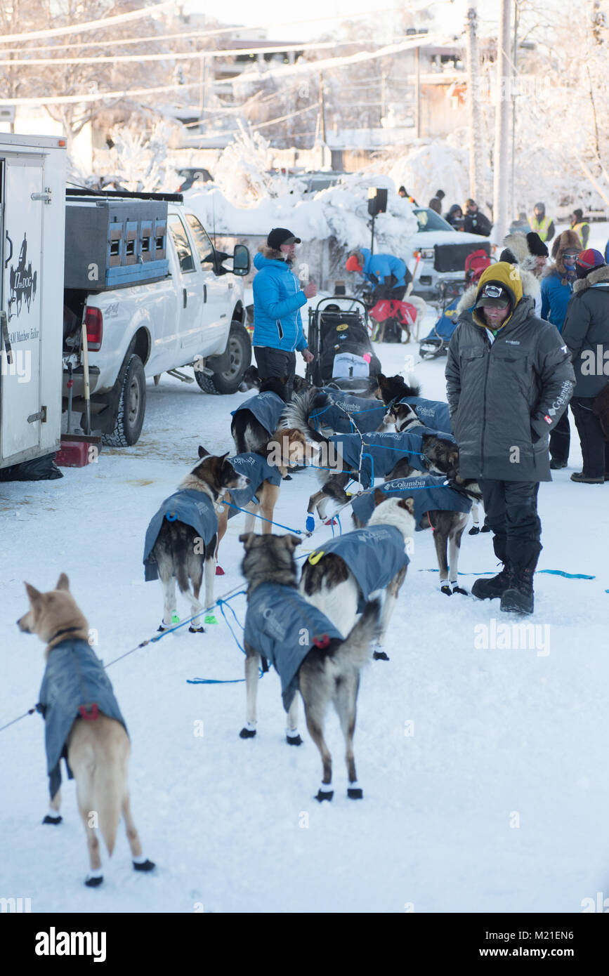 FAIRBANKS, ALASKA - FEBRUARY 3, 2018: Mushers prepare their dog teams for the start of the Yukon Quest. Credit: Roger Asbury/Alamy Live News Stock Photo