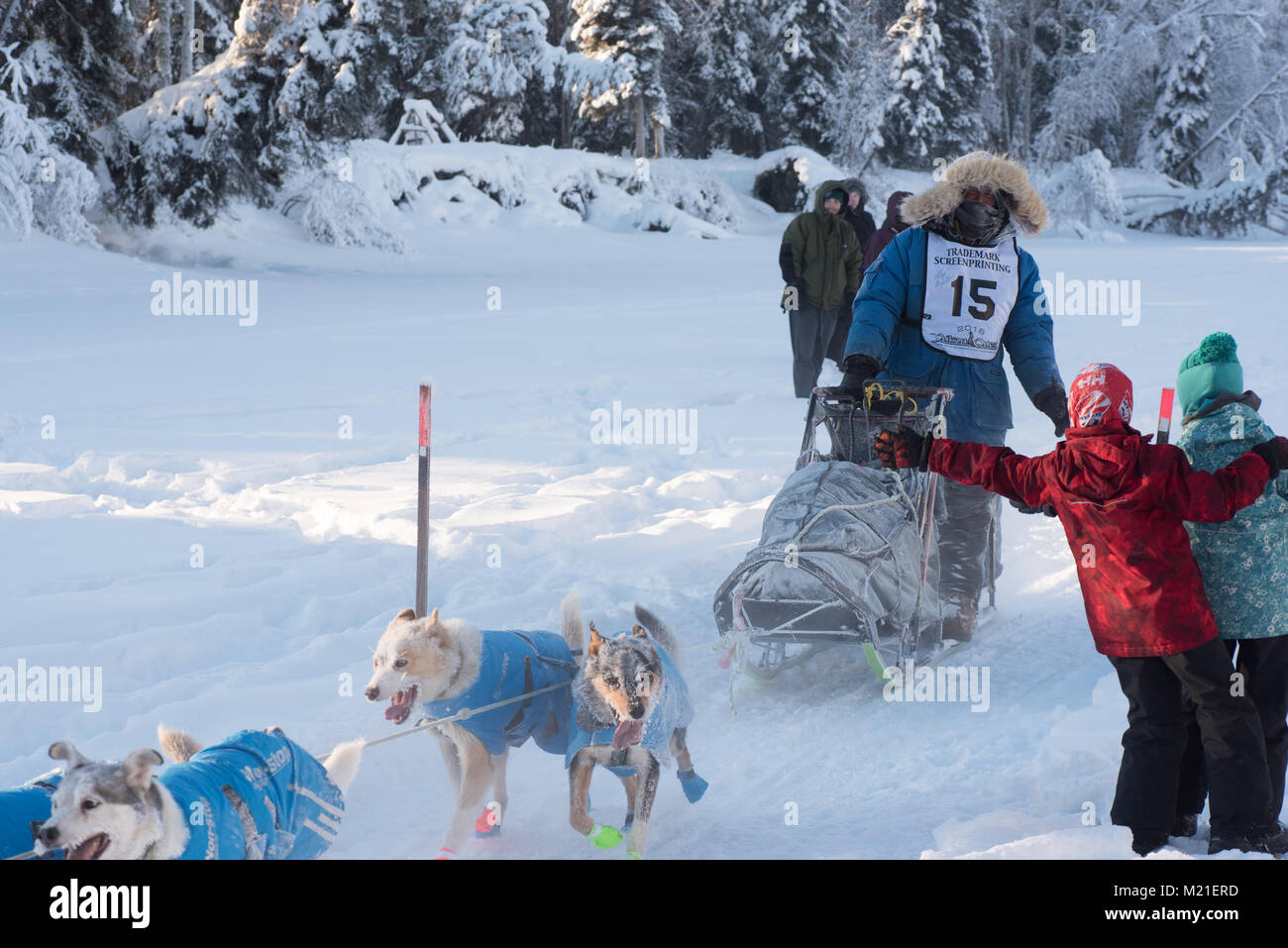 FAIRBANKS, ALASKA - FEBRUARY 3, 2018: Rookie racer Riley Dyche from Fairbanks, AK, leans to give high fives to young fans during the 2018 Yukon Quest. Credit: Roger Asbury/Alamy Live News Stock Photo