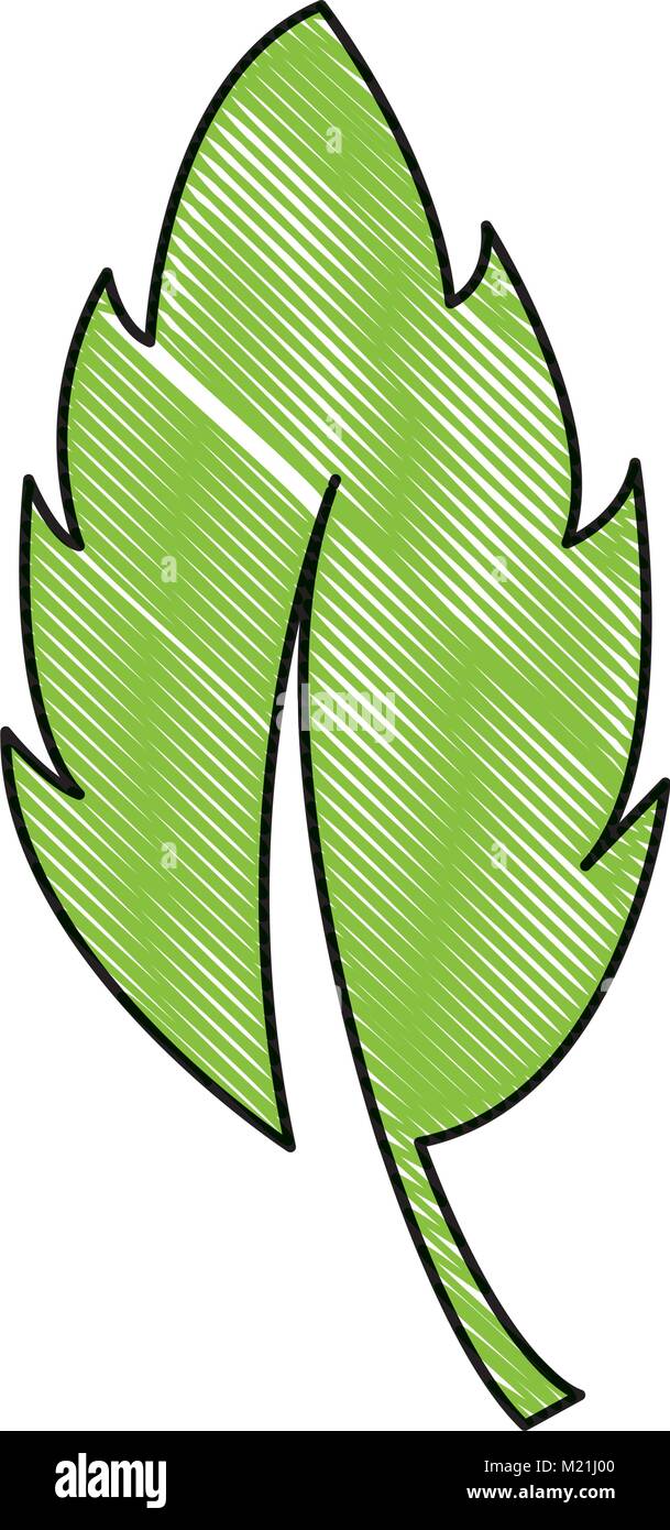 grated leaf plant nature flora design Stock Vector Image & Art - Alamy