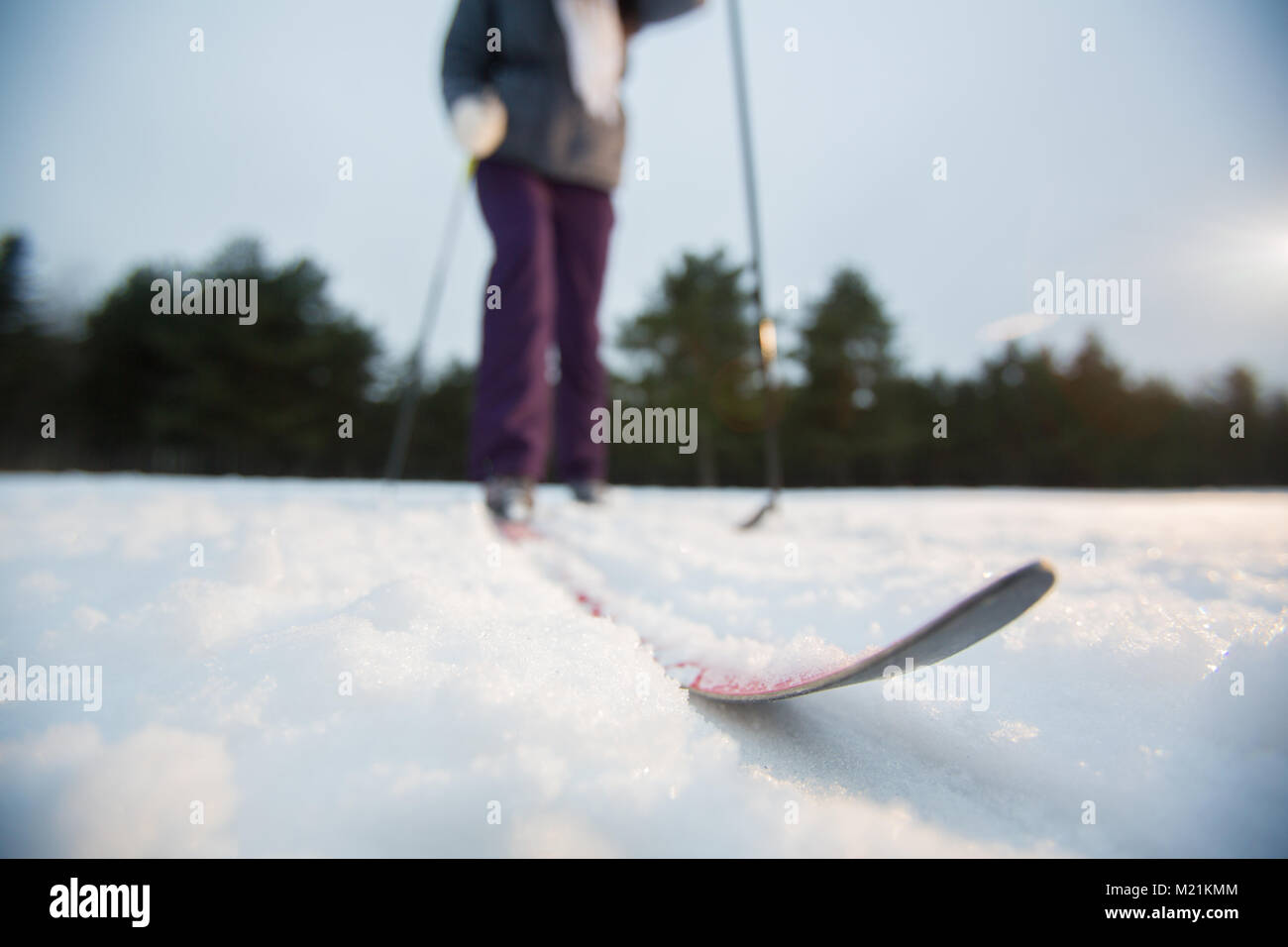 Ski on track Stock Photo - Alamy