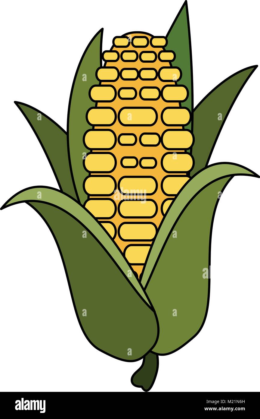 Corn food isolated Stock Vector Image & Art - Alamy