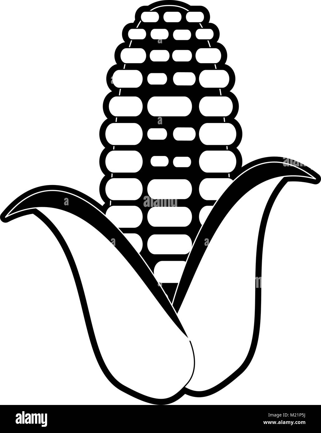 Corn food isolated Stock Vector Image & Art - Alamy