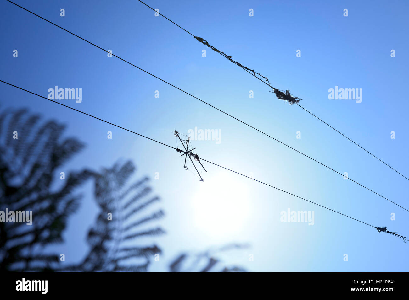 Kite braided in electric wire Stock Photo Alamy