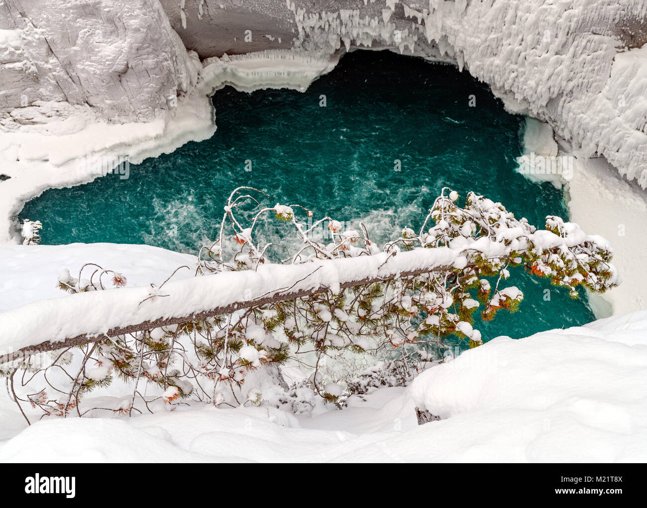 The frozen Sunwapta Falls at the Icefields Parkway, Jasper National Park, Alberta, Canada Stock Photo