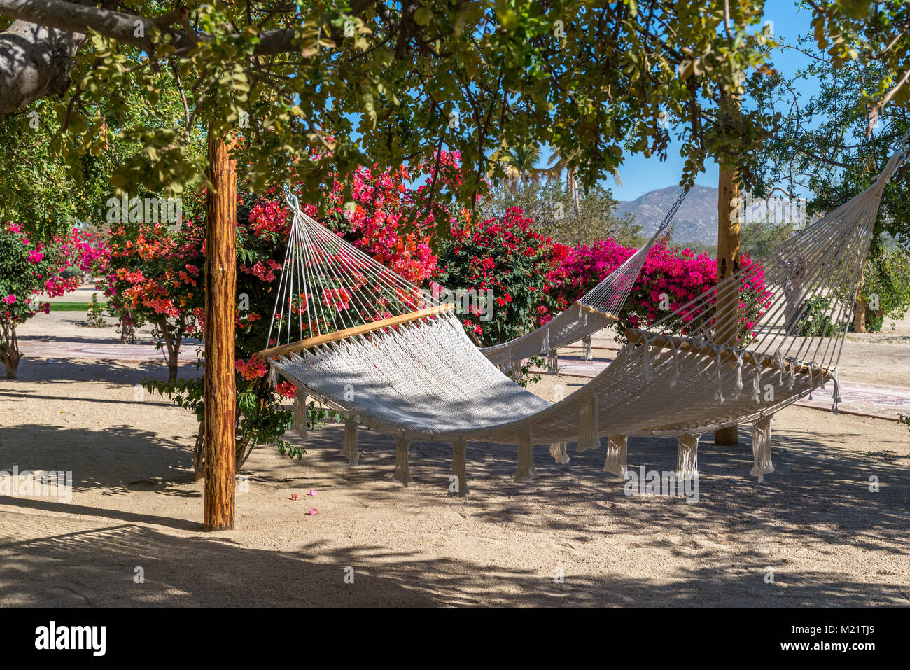 This hammock rests in the sun of Baja, Mexico. Located at the Los Cabos Gofl Resort in Cabo San Lucas, Mexico Stock Photo