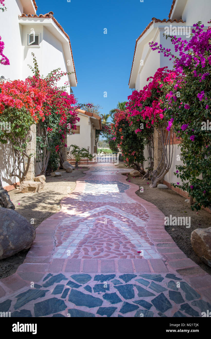 Beautiful walkways at the Los Cabos Golf Resort in Cabo San Lucas, Mexico  Stock Photo - Alamy