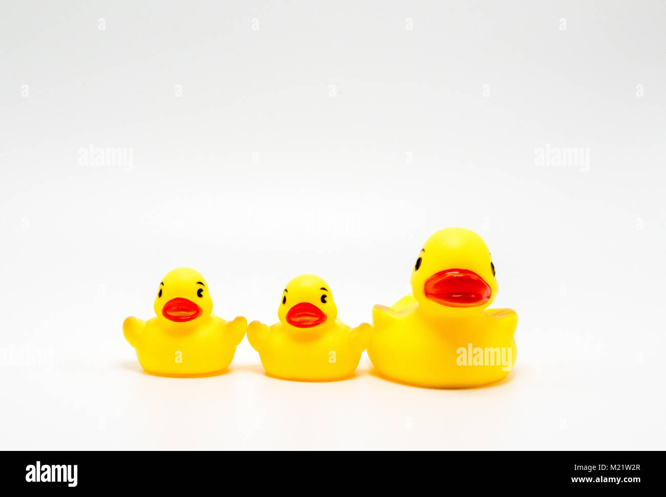 3 bright yellow rubber ducks in a row facing forward isolated on white Stock Photo