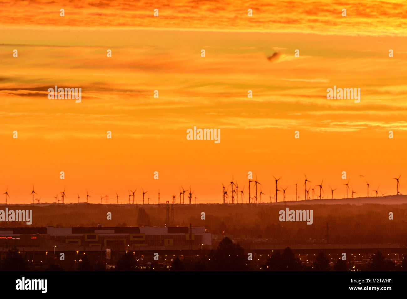 : Windräder (wind turbines) in Marchfeld, houses of Vienna, Marchfeld, Niederösterreich, Lower Austria, Austria Stock Photo