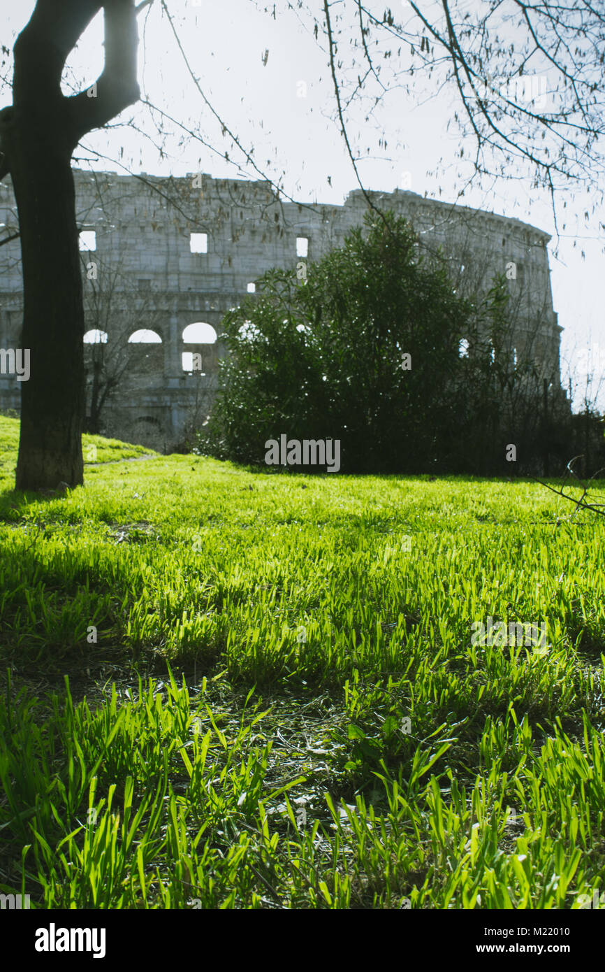 Grass and tree with a view of a blurry and unfocus colosseum at the background on a cloudy day Stock Photo