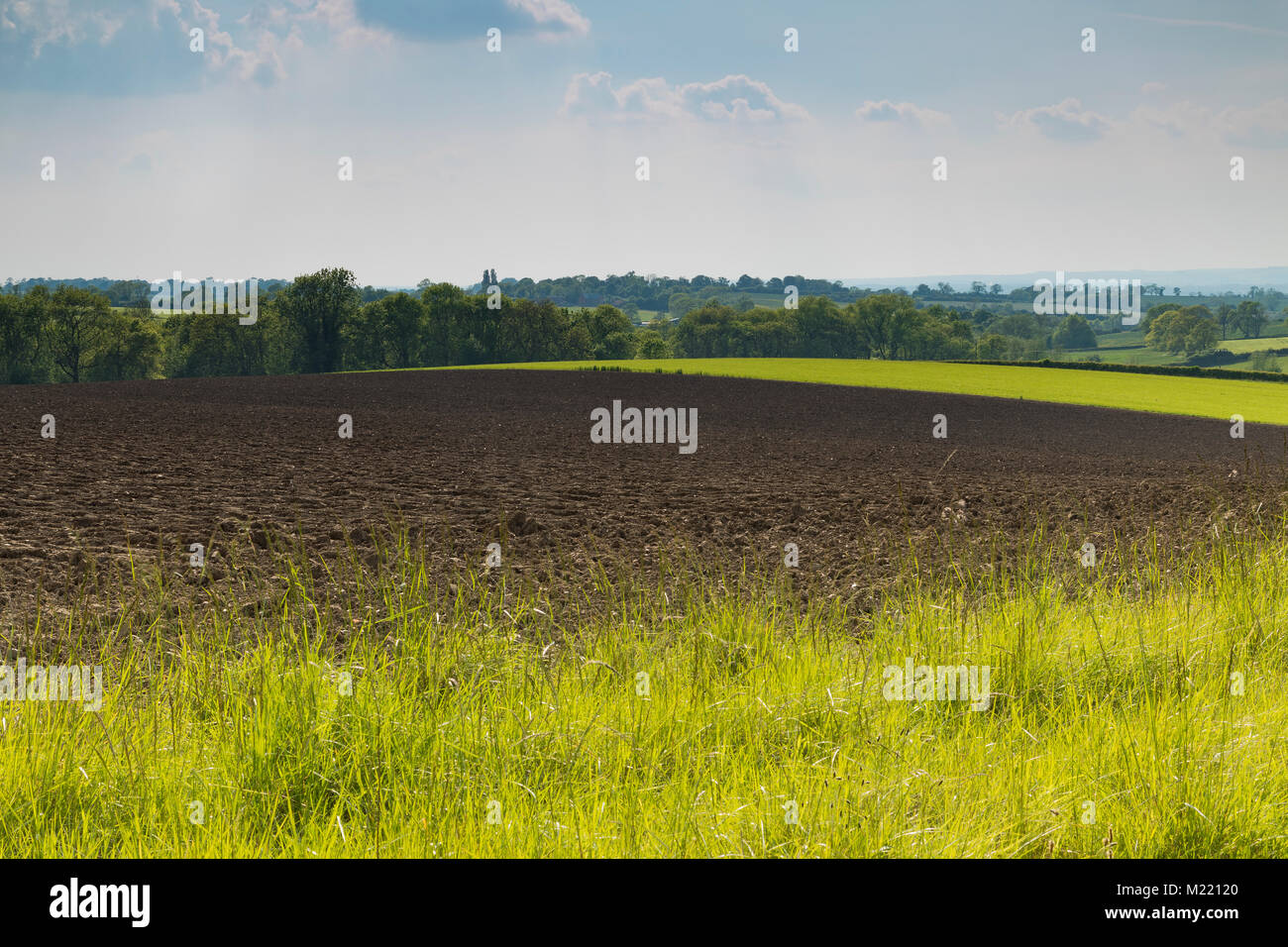 An image captured in evening sunshine across the countryside of Leicestershire, England UK Stock Photo