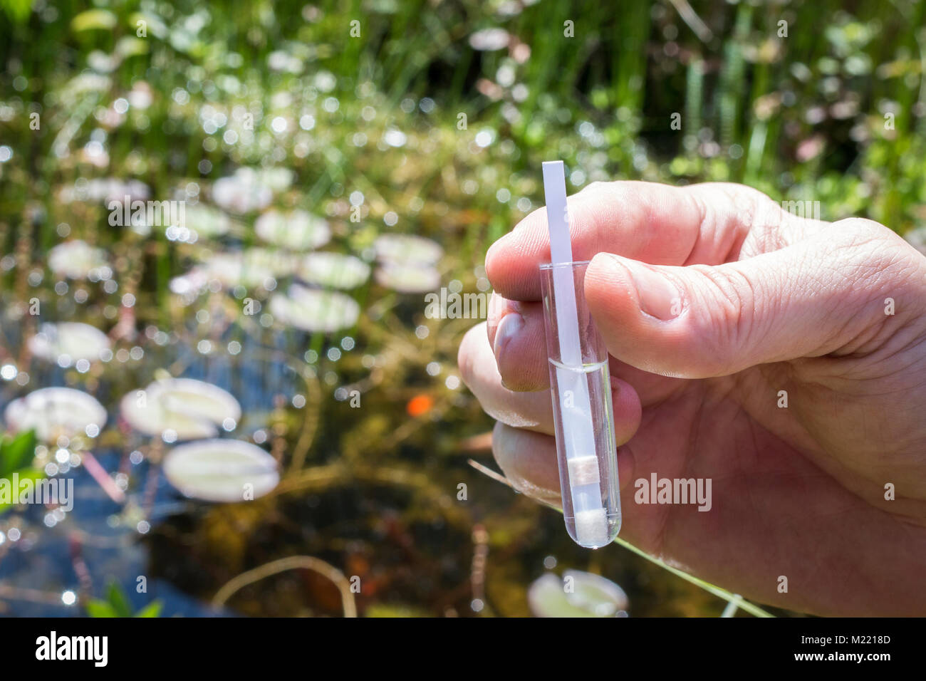 PH analysis of a lake with a test strip in a test-tube Stock Photo