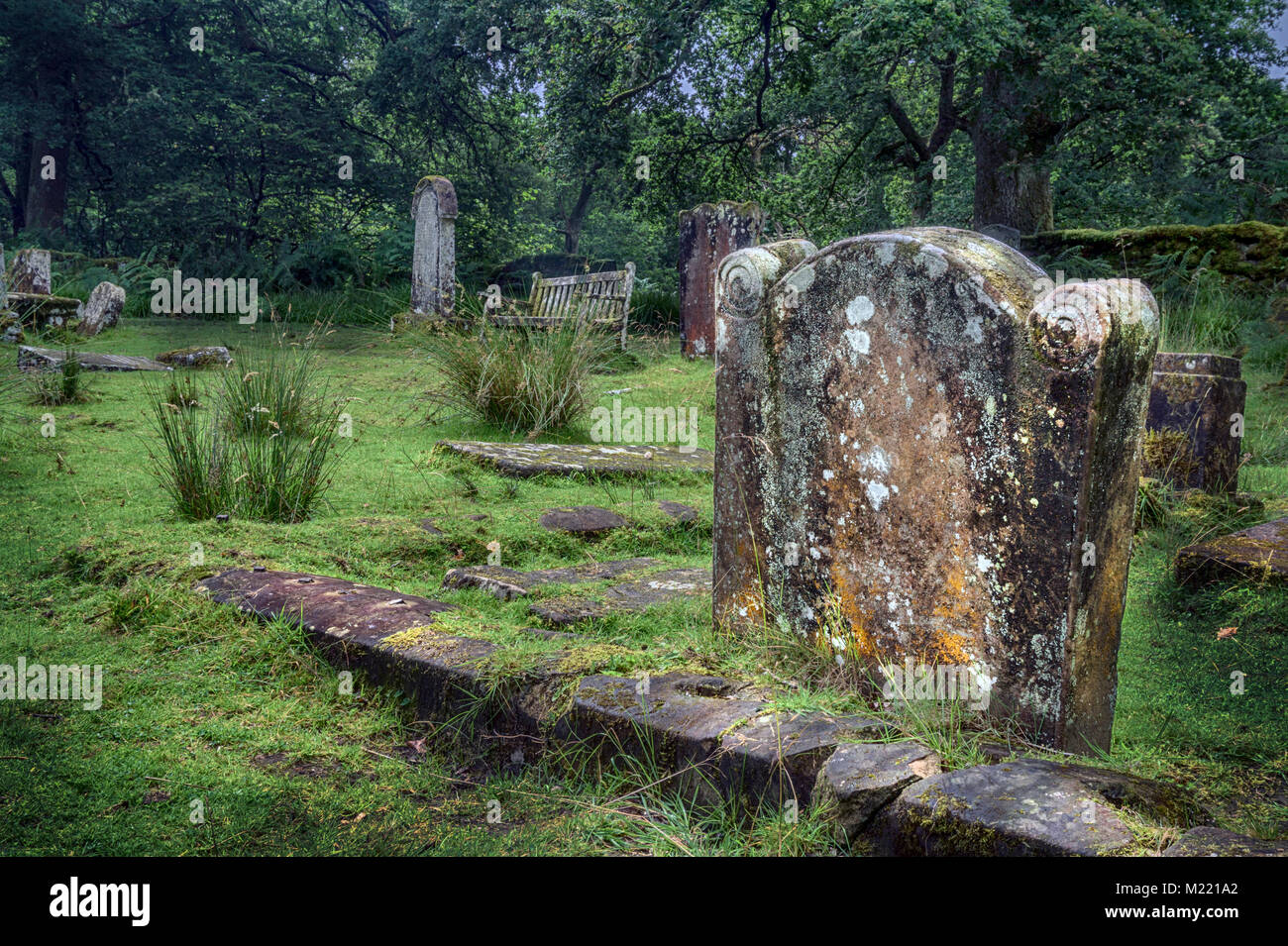 The burial ground at the church of St.Kentigerna on Inchcailloch, an island in Loch Lomond. The church fell out of use after 1621, and is now a ruin,  Stock Photo