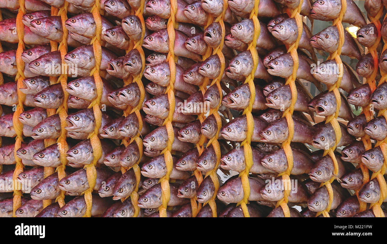 Hanged up to dry hires stock photography and images Alamy