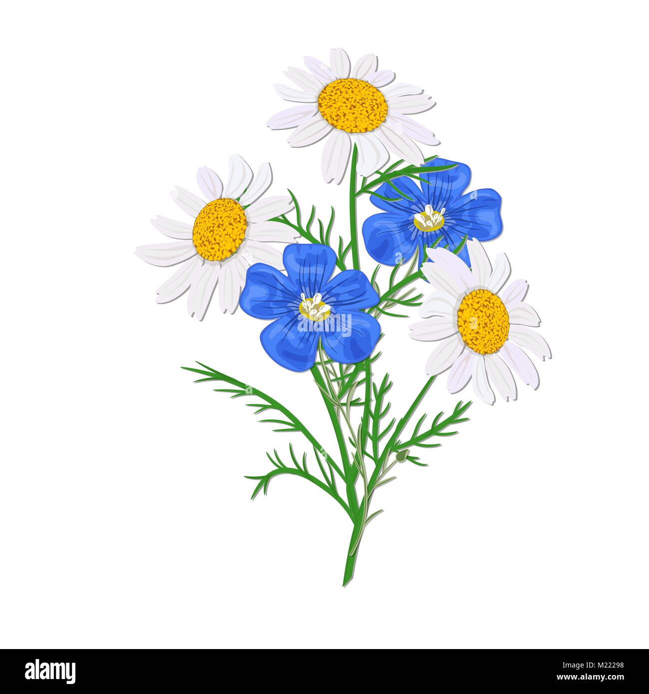 Daisy or chamomile Wildflower isolated with stem. Flax, forget-me-not blue bouquet flowers Stock Vector