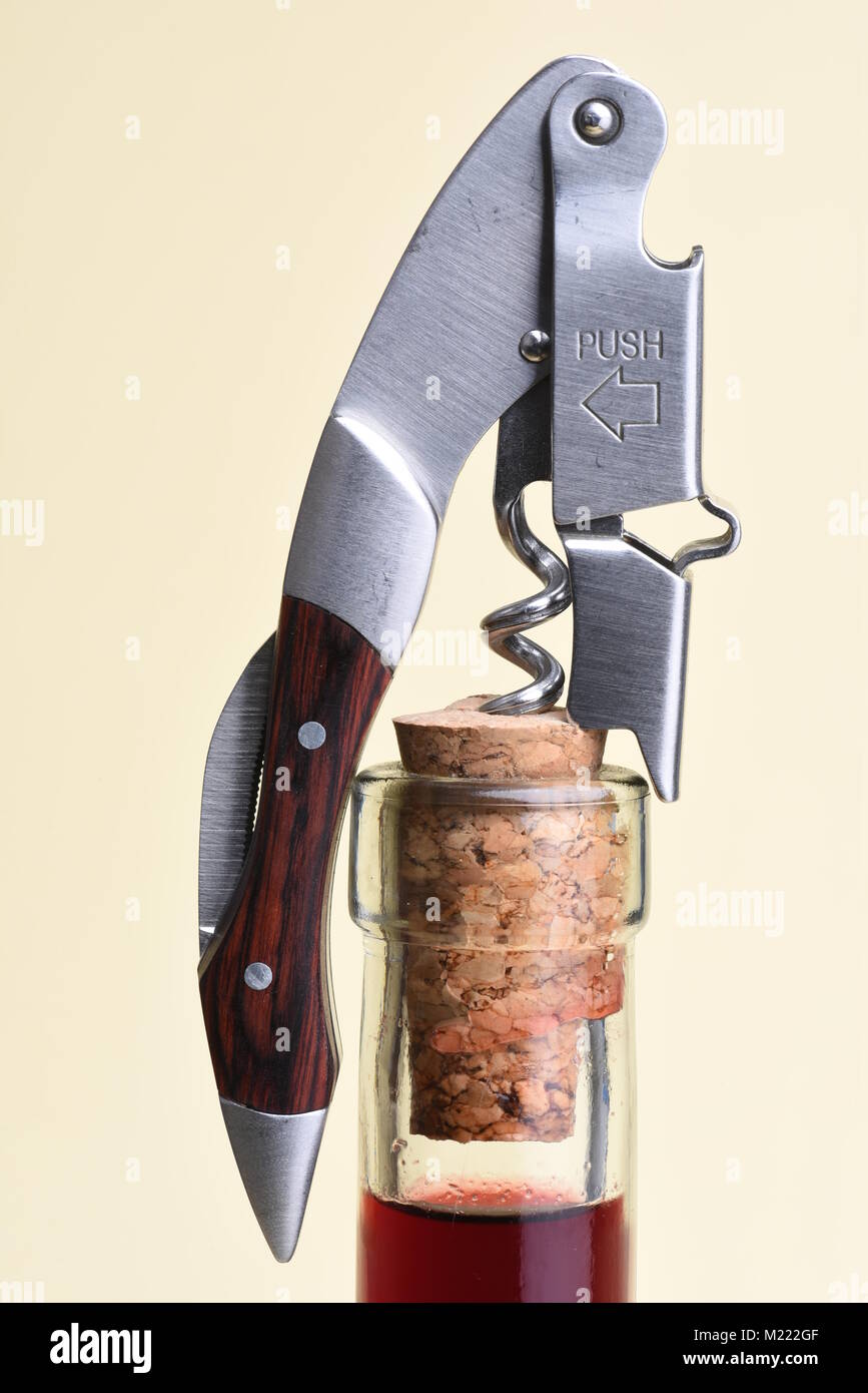 Opening bottle of wine with corkscrew Stock Photo Alamy