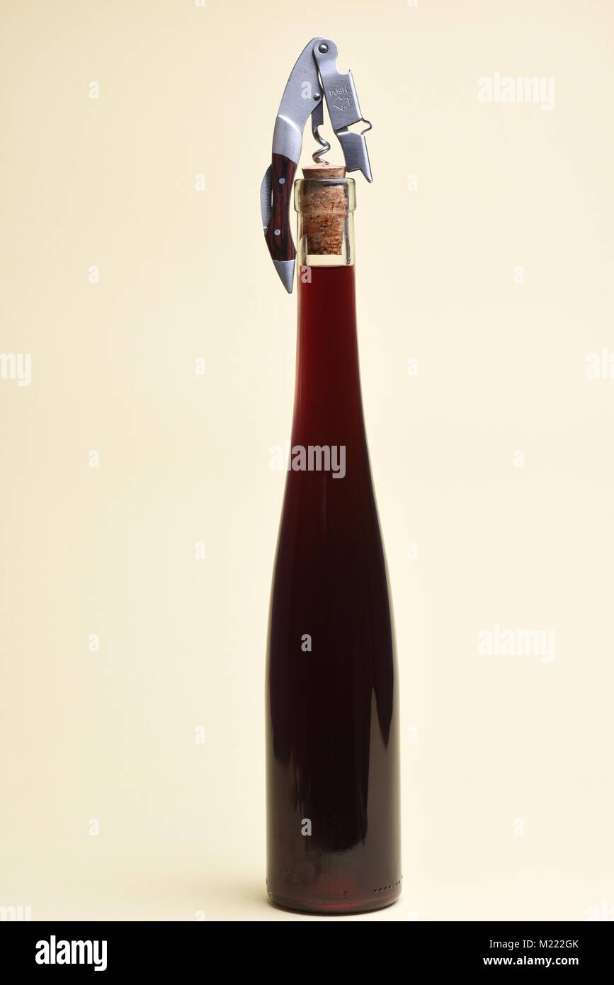 Vine bottle with corkscrew with copy space Stock Photo