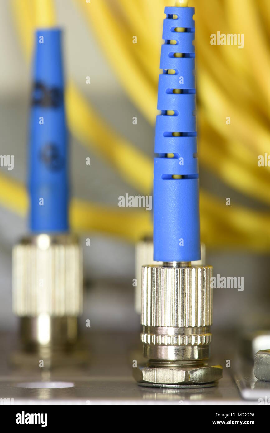 Optic fiber cables on distribution panel in data center Stock Photo