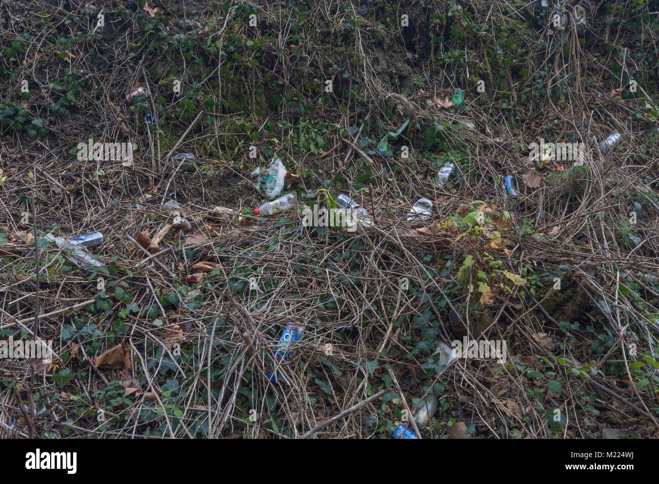 Plastic bottle washed up on marshy area - metaphor for environmental pollution, plastic pollution / plastic waste in the countryside / war on plastic. Stock Photo