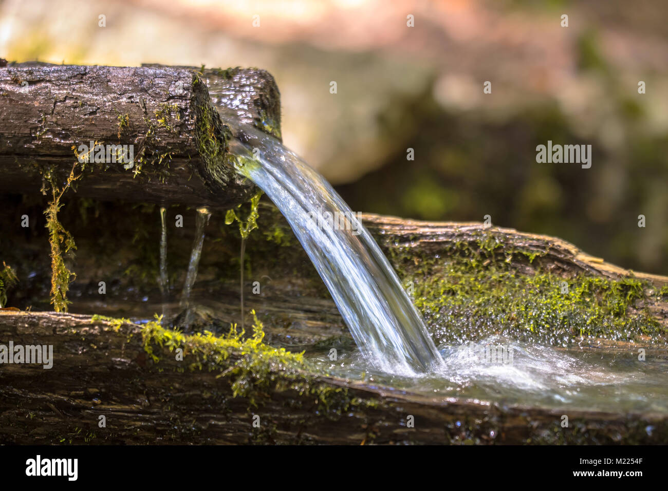 Mountain water spring out of wooden gutter from rocky creek. Blurred water by long exposure. Stock Photo