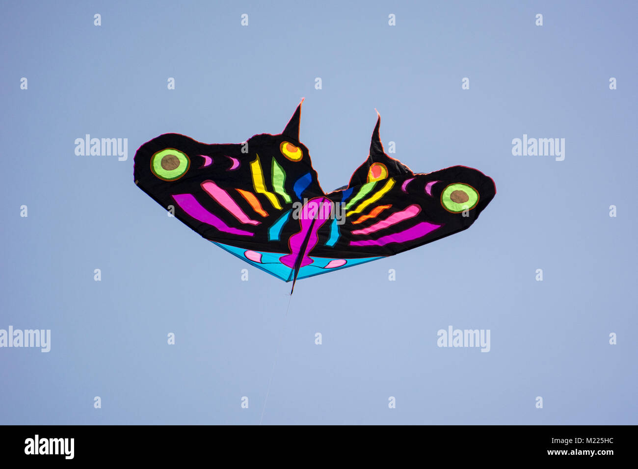 A Butterfly shaped Kite at International Kite Festival Stock Photo Alamy