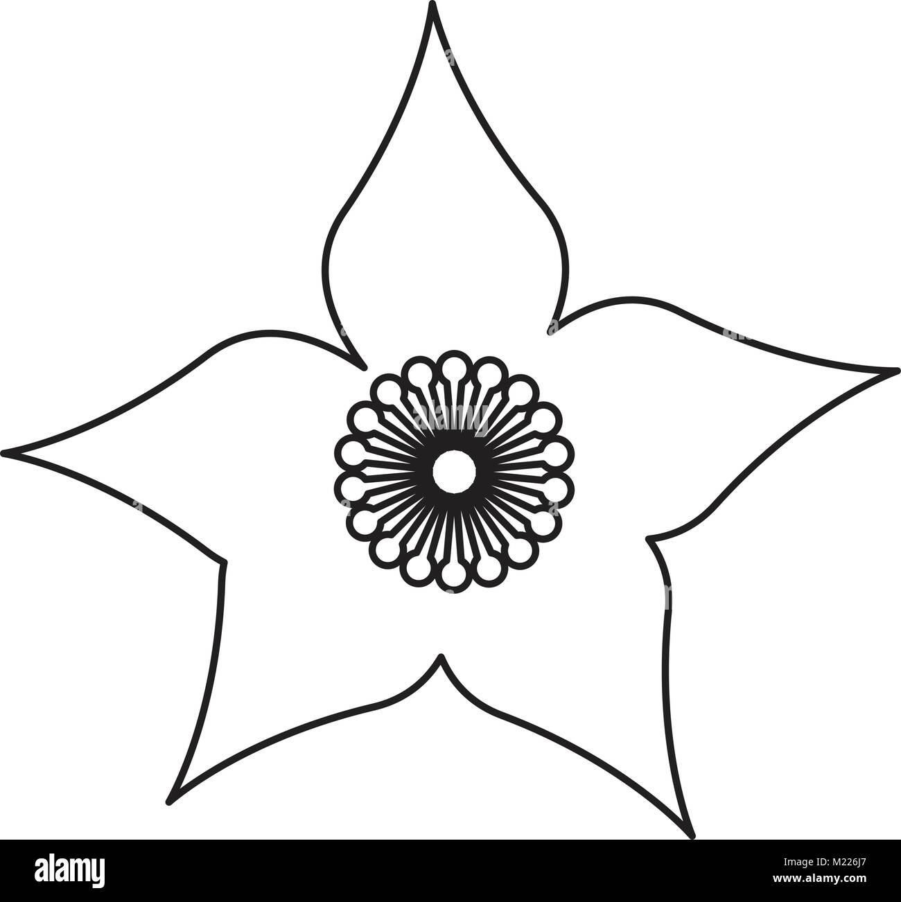 Isolated flower image Stock Vector Image & Art - Alamy