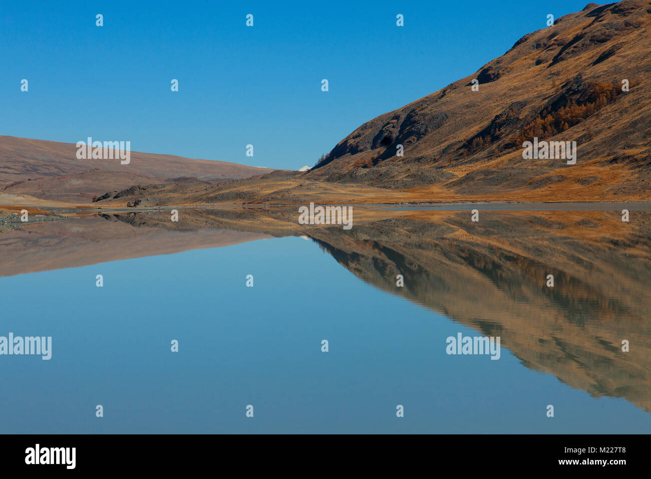 The mirror surface of the water of a mountain lake Stock Photo - Alamy