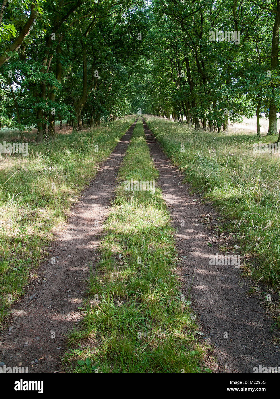 Farm track in the Lueneburger Heide,  Niedersachsen, Germany. Stock Photo