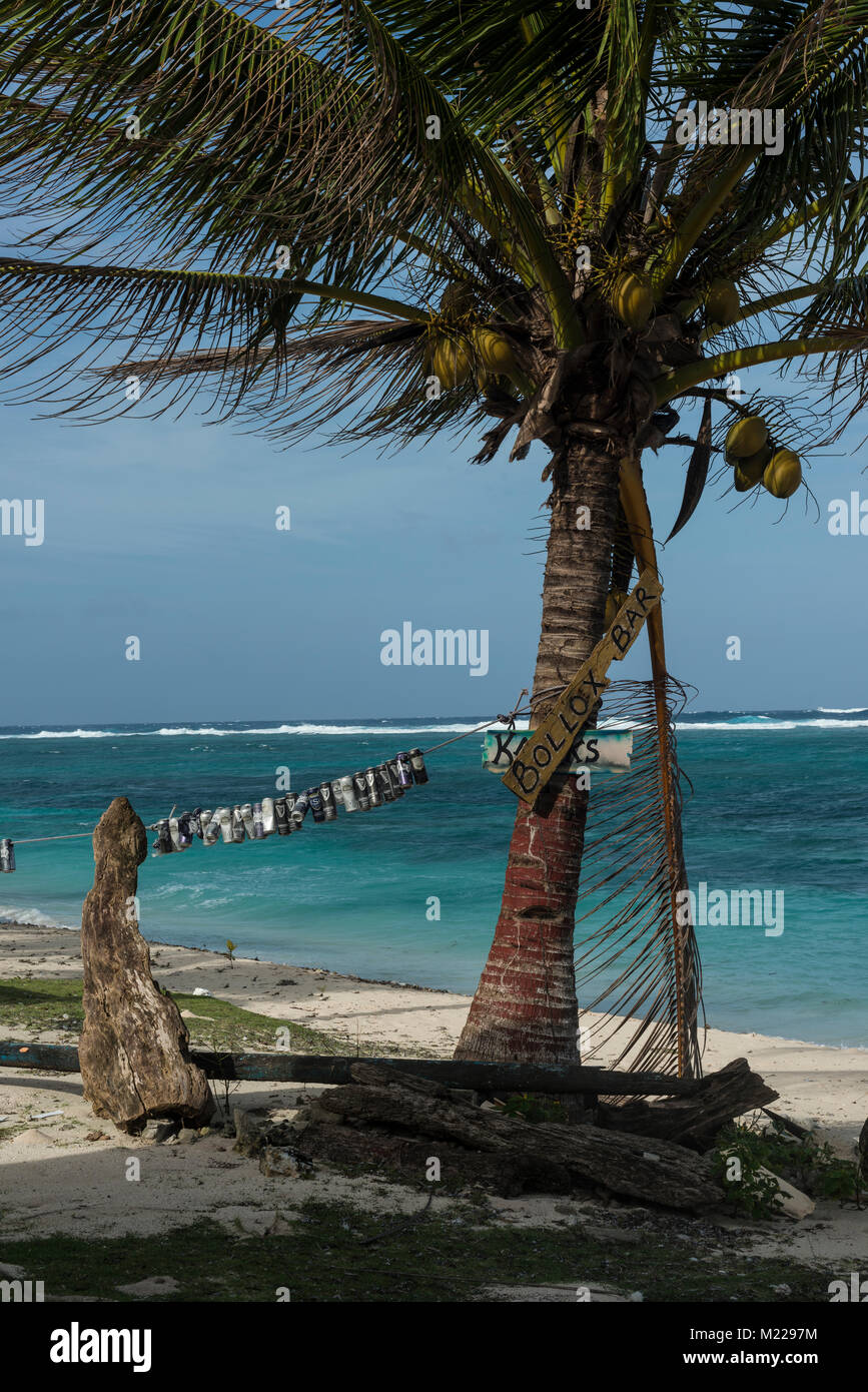 Palm trees on a tropical beach overlooking the ocean Stock Photo