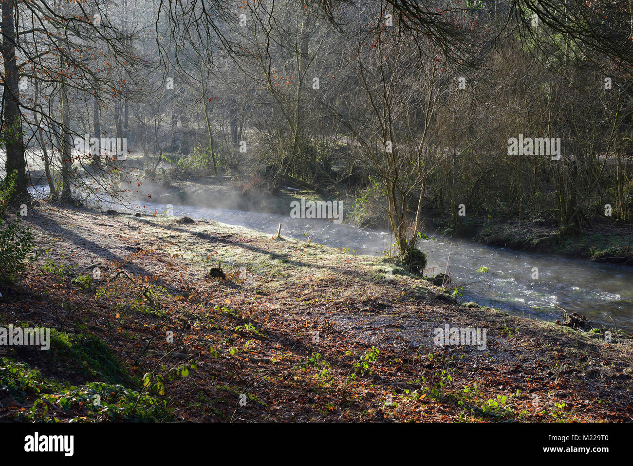 Mist rising from River Tone on a frosty winter morning, Wiveliscombe, Somerset Stock Photo