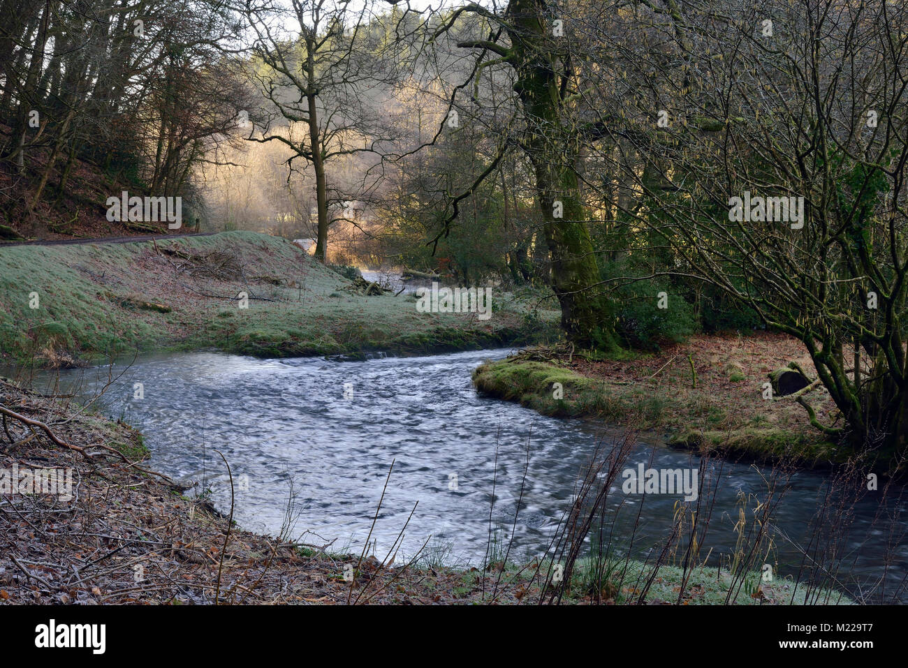 Frosty Winter Morning on River Tone, Washbattle Bridge, Wiveliscombe, Somerset Stock Photo