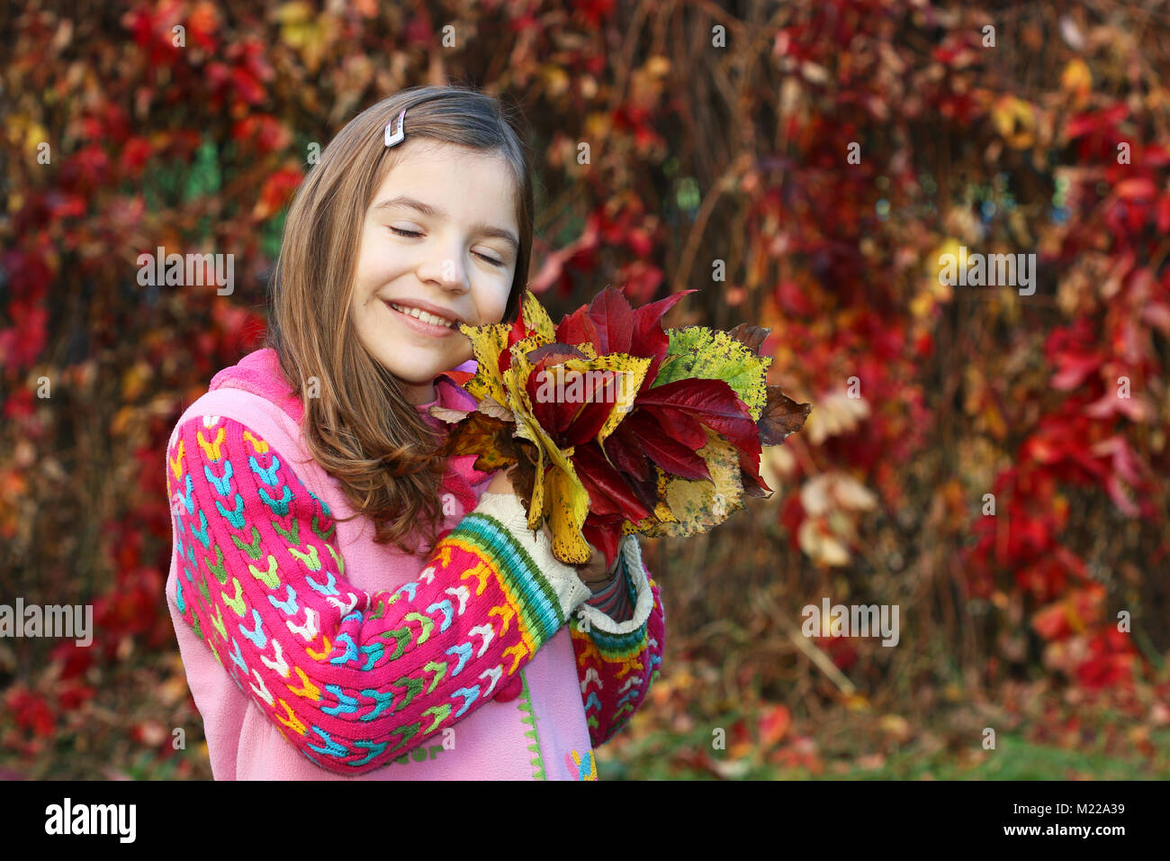 beautiful little girl holding colorful autumn leaves Stock Photo - Alamy
