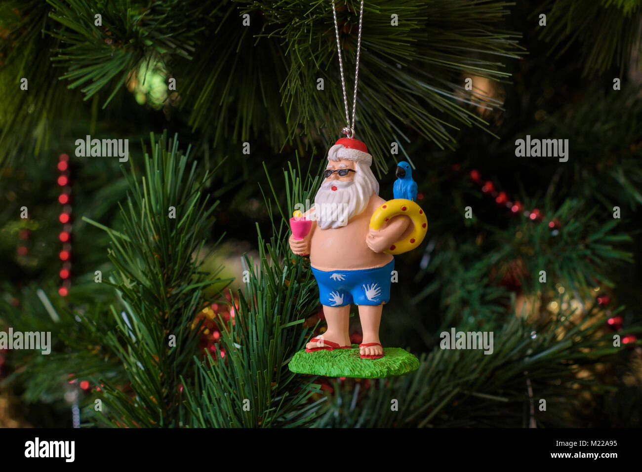 Australian Christmas decoration hanging on a Christmas tree Stock Photo