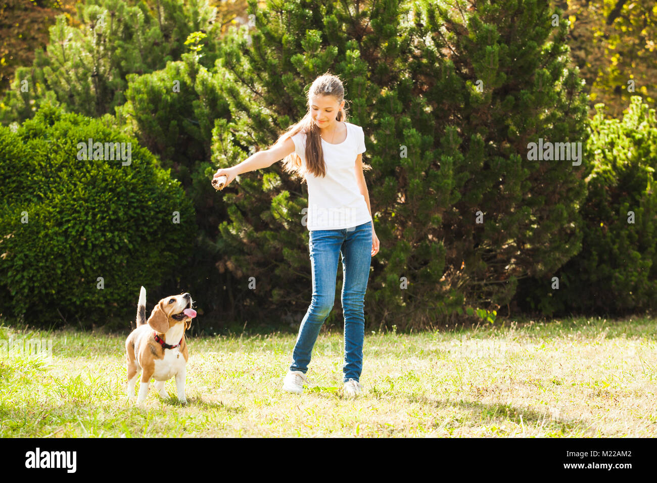 Girl plays with a dog in the yard Stock Photo - Alamy