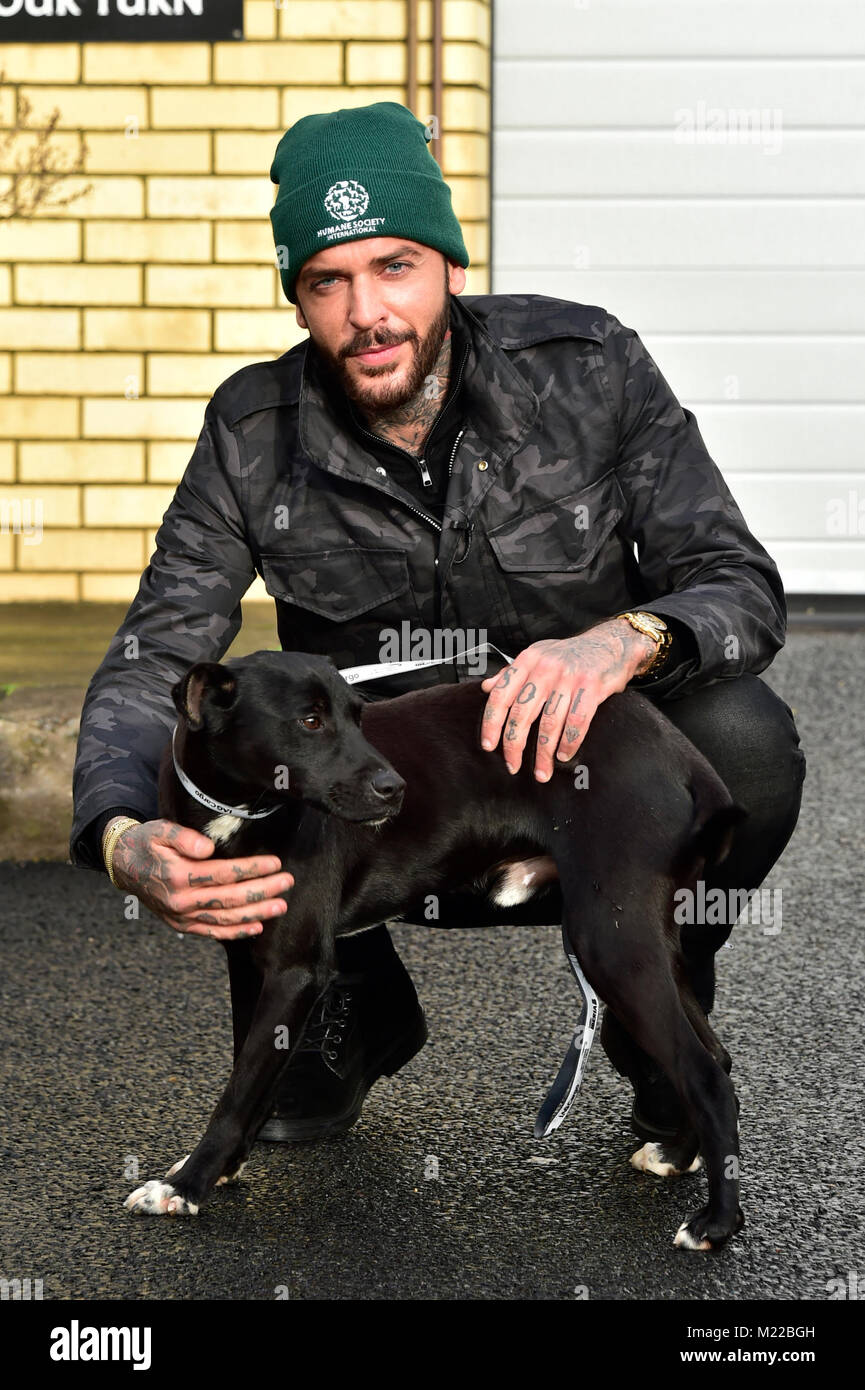 Dogs saved from death on South Korean dog meat farm, arrive in UK for