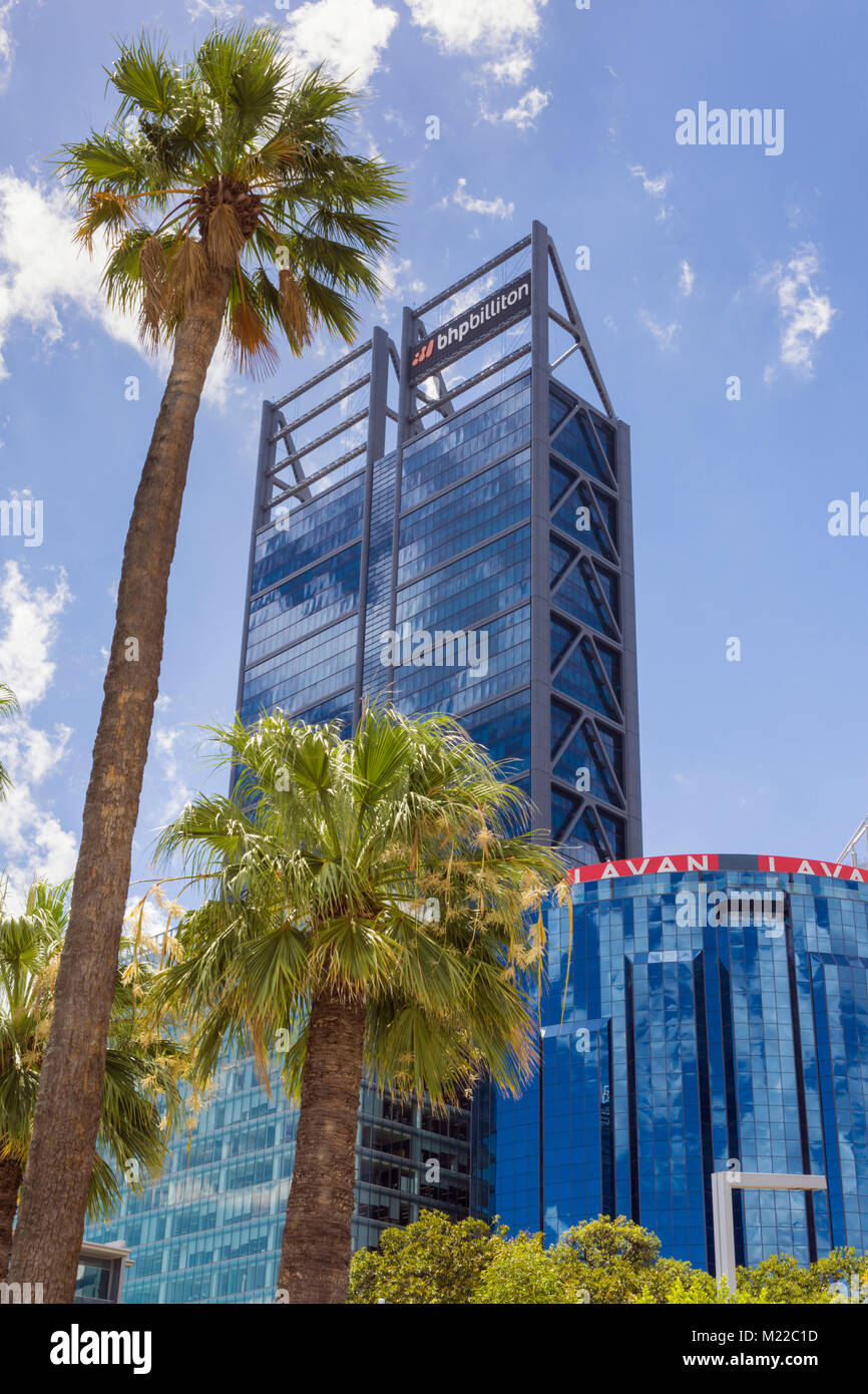 Palm trees and skyscrapers of Perth CBD including BHP Billiton, Perth