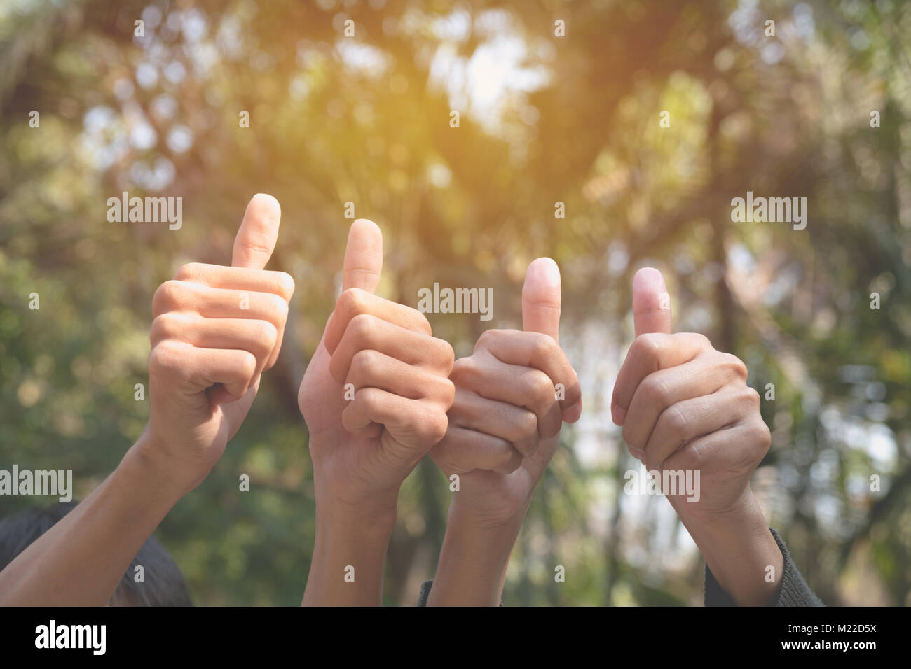 Hand of people shows the gesture of thumps up on nature background. Stock Photo