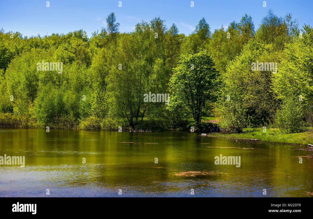 A forest surrounding lake hi-res stock photography and images - Alamy