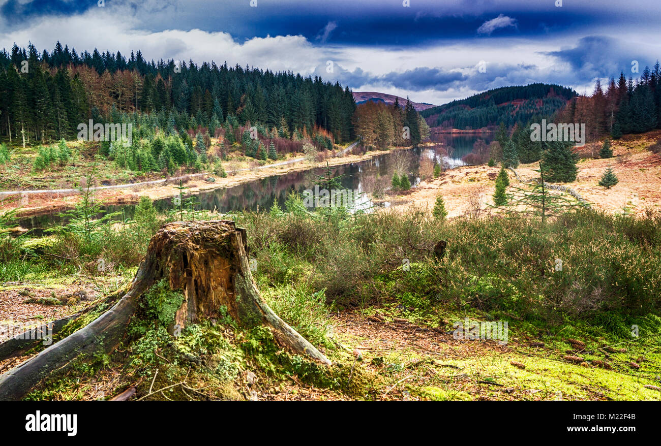 The best named loch in Scotland. Overlooking Loch Drunkie in the Trossachs Stock Photo