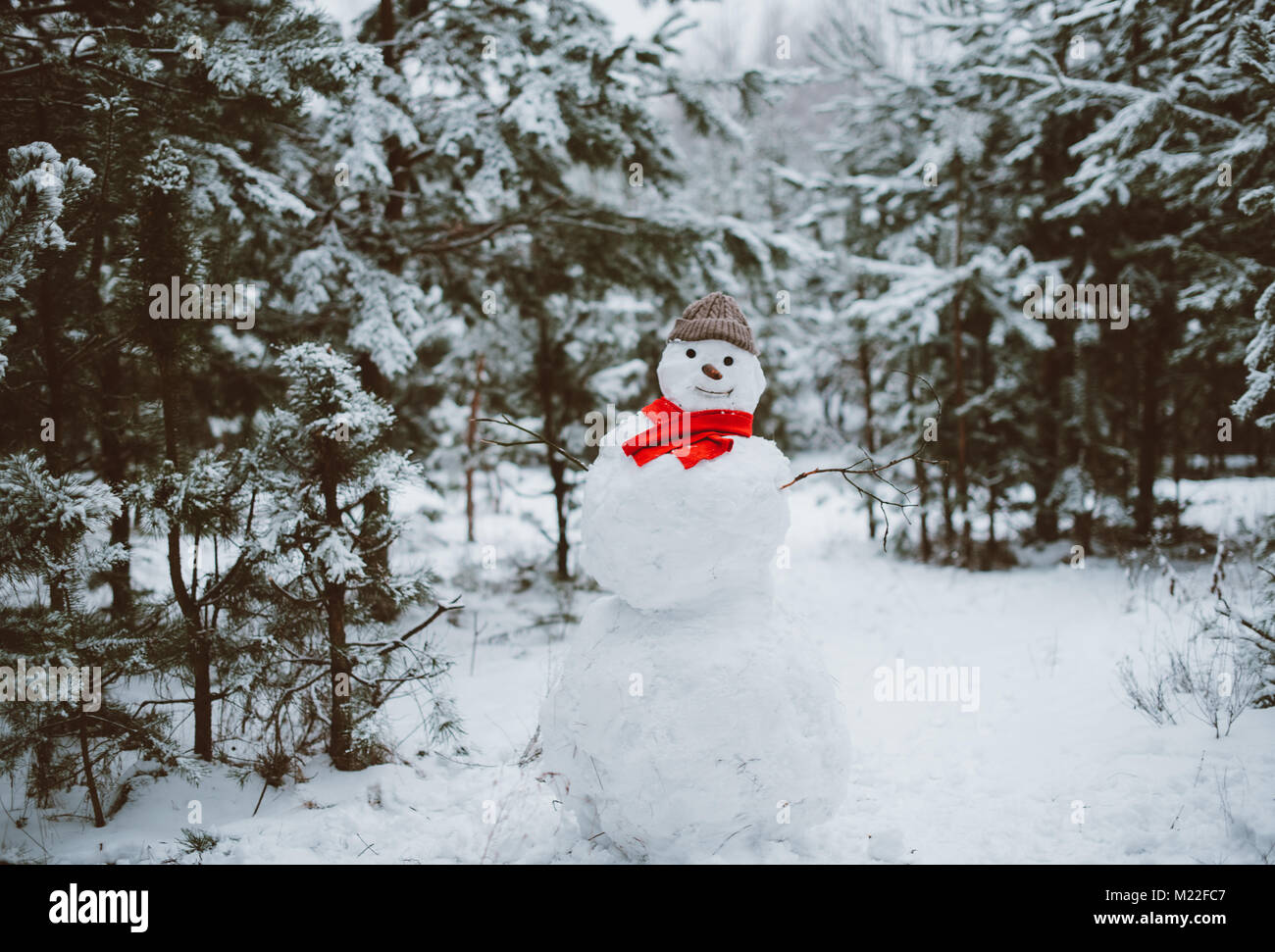Snowman standing in winter landscape Stock Photo - Alamy