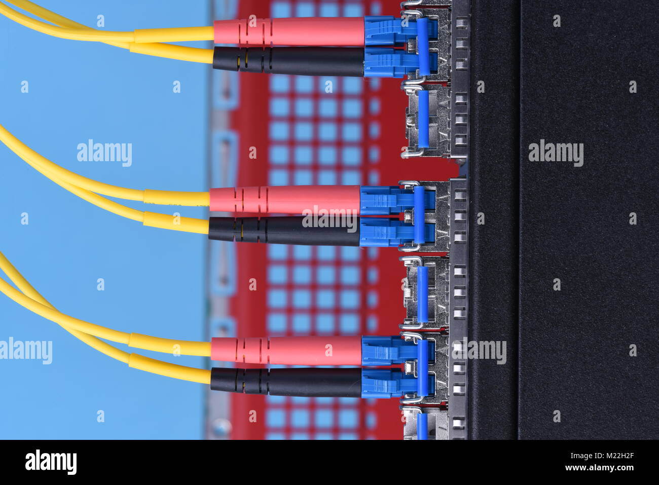 Optical cables connected to switch in data center Stock Photo Alamy