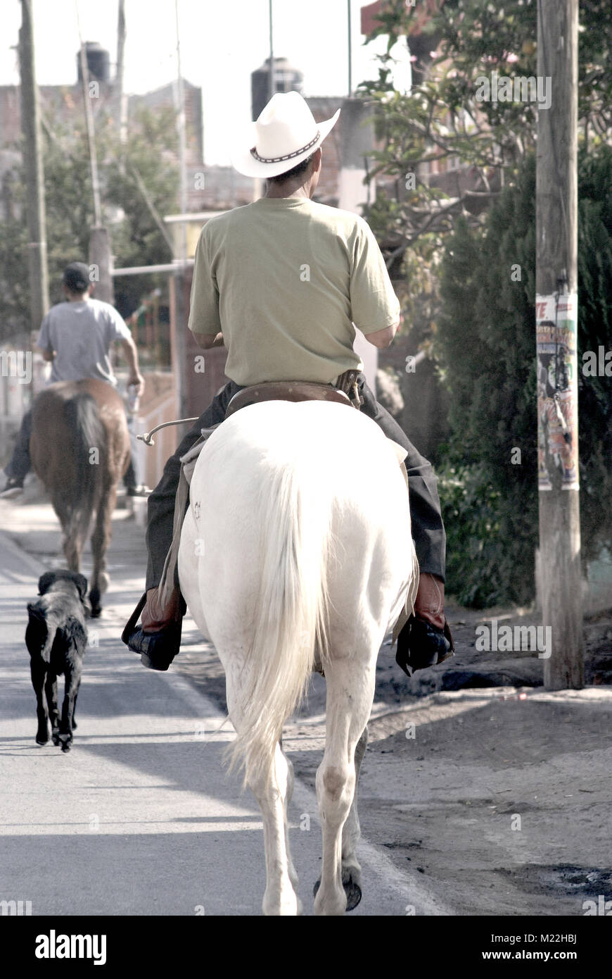 A man on a horse riding on a street in Michaocan, Mexico. Stock Photo